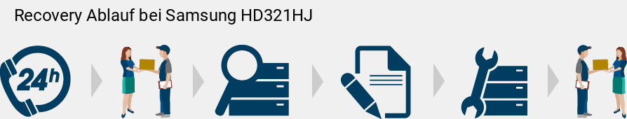 Recovery Ablauf bei Samsung  HD321HJ