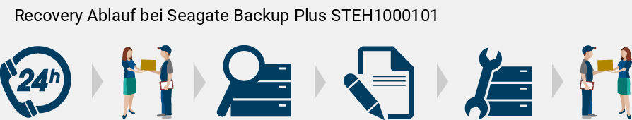 Recovery Ablauf bei Seagate Backup Plus STEH1000101