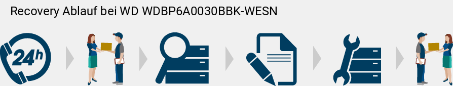 Recovery Ablauf bei WD  WDBP6A0030BBK-WESN