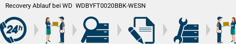 Recovery Ablauf bei WD   WDBYFT0020BBK-WESN