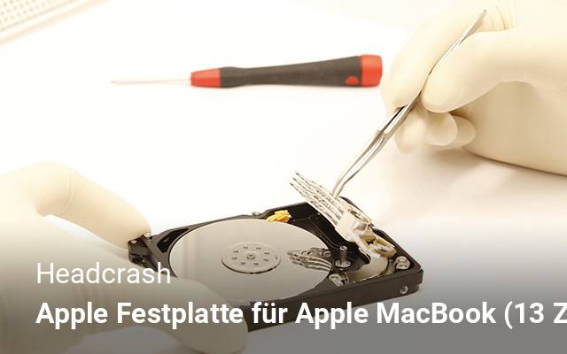Headcrash Apple  Festplatte für Apple MacBook (13 Zoll-Aluminum-Late 2008, Early 2009)