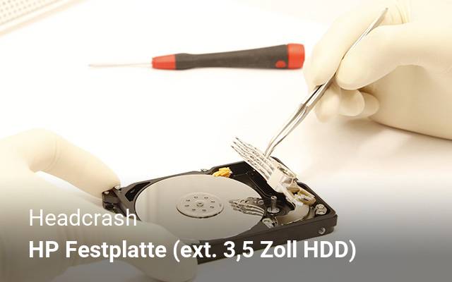 Headcrash HP   Festplatte (ext. 3,5 Zoll HDD)