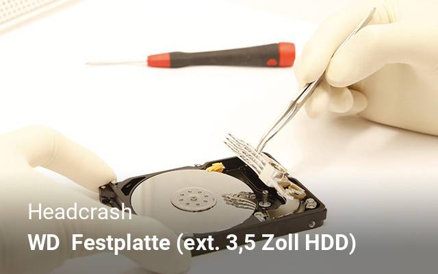 Headcrash WD   Festplatte (ext. 3,5 Zoll HDD)