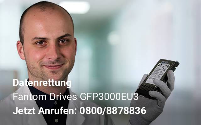 Datenrettung Fantom Drives  GFP3000EU3 