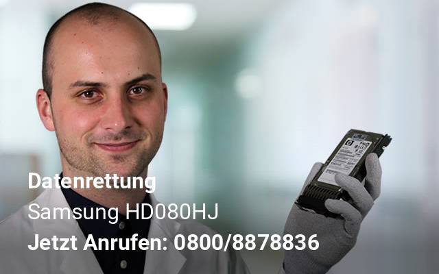 Datenrettung Samsung  HD080HJ 